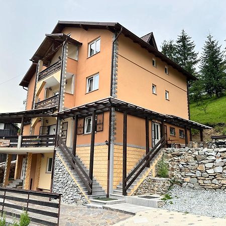 Pensiunea 3Flori De Colt Hotel Statjunea Borsa Exterior foto