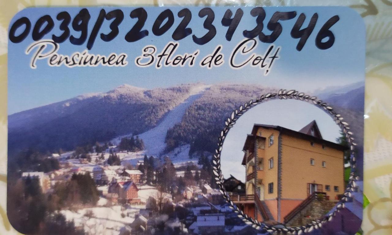 Pensiunea 3Flori De Colt Hotel Statjunea Borsa Exterior foto