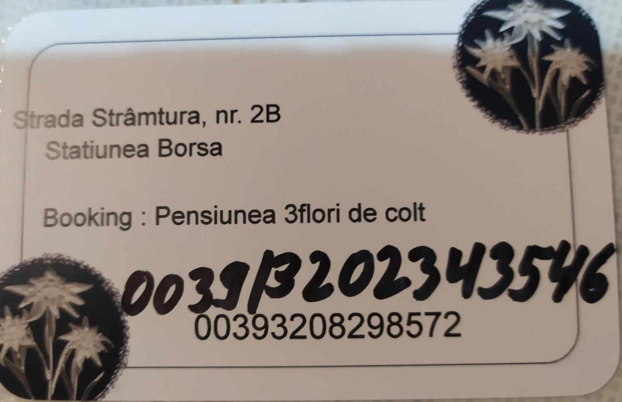 Pensiunea 3Flori De Colt Hotel Statjunea Borsa Exterior foto