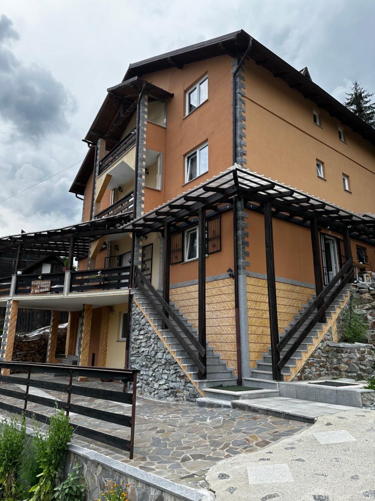 Pensiunea 3Flori De Colt Hotel Statjunea Borsa Exterior foto