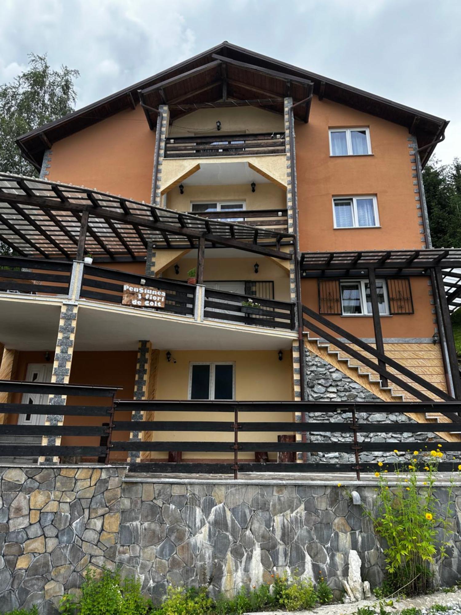 Pensiunea 3Flori De Colt Hotel Statjunea Borsa Exterior foto