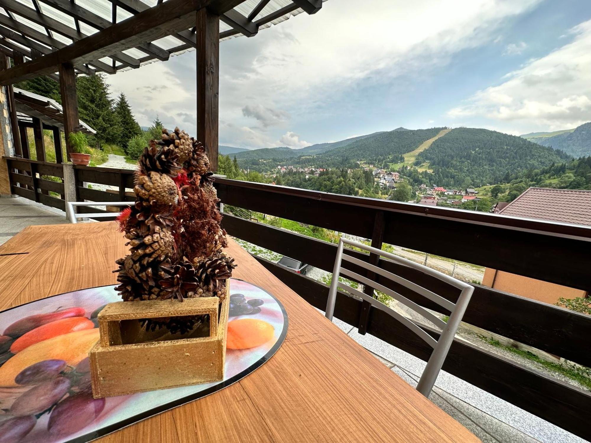 Pensiunea 3Flori De Colt Hotel Statjunea Borsa Exterior foto