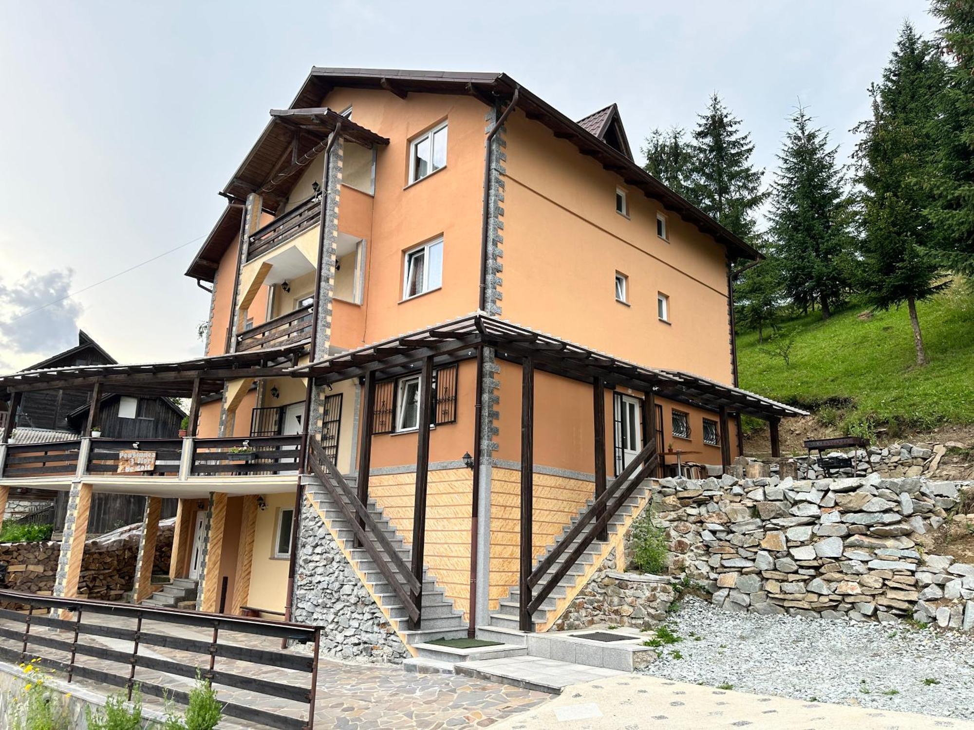 Pensiunea 3Flori De Colt Hotel Statjunea Borsa Exterior foto